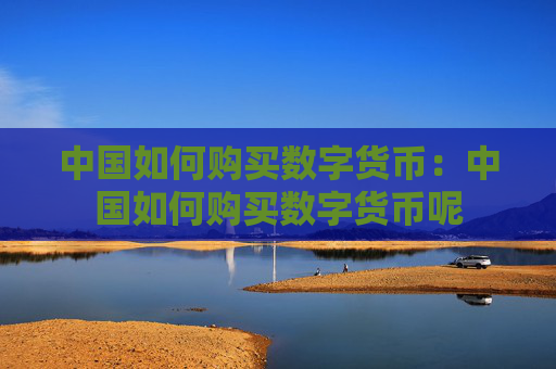 中国如何购买数字货币:中国如何购买数字货币呢
