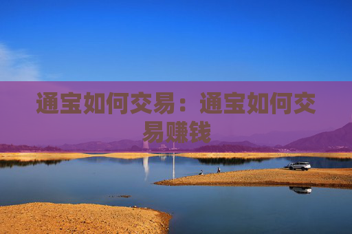 通宝如何交易:通宝如何交易赚钱