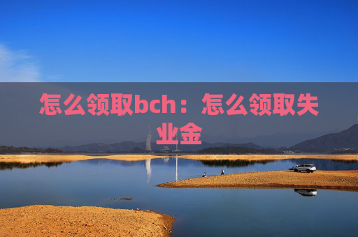 怎么领取bch：怎么领取失业金