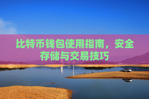 比特币钱包使用指南,安全存储与交易技巧