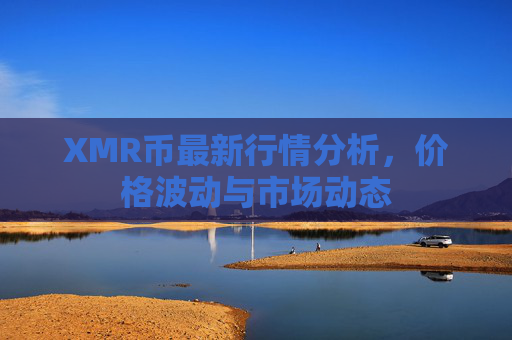 XMR币最新行情分析,价格波动与市场动态
