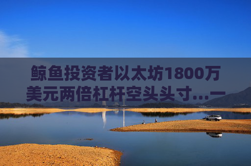鲸鱼投资者以太坊1800万美元两倍杠杆空头头寸…一小时获利百万美元