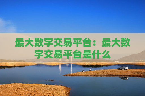 最大数字交易平台:最大数字交易平台是什么