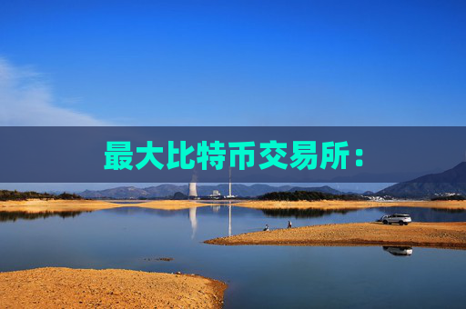 最大比特币交易所: