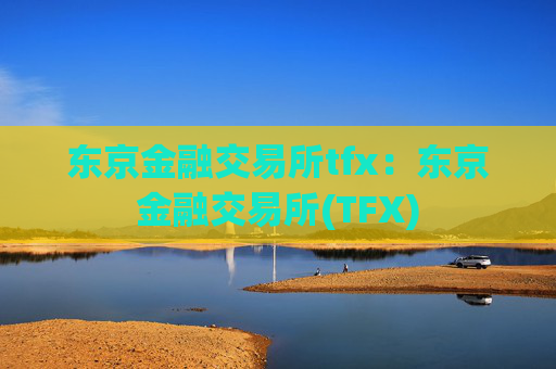东京金融交易所tfx:东京金融交易所(TFX)