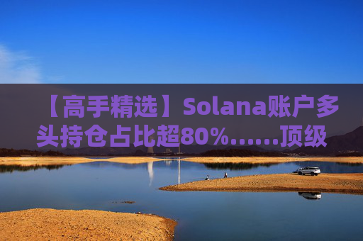 【高手精选】Solana账户多头持仓占比超80%……顶级交易员重仓SUI与LINK