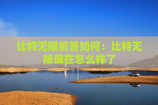 比特无限前景如何:比特无限现在怎么样了