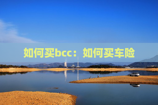 如何买bcc：如何买车险