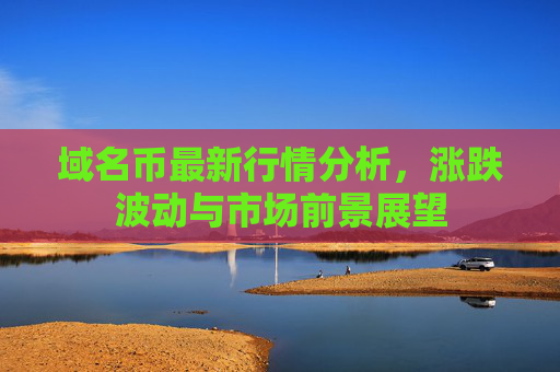 域名币最新行情分析,涨跌波动与市场前景展望
