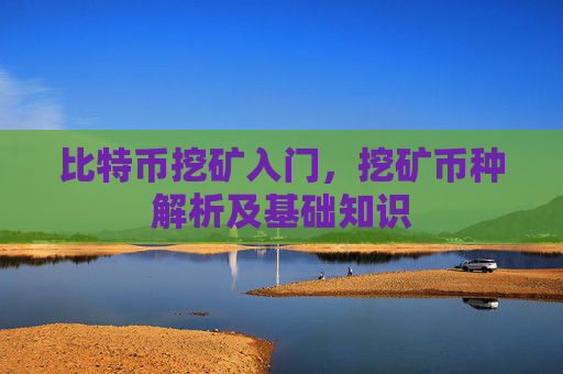 比特币挖矿入门,挖矿币种解析及基础知识