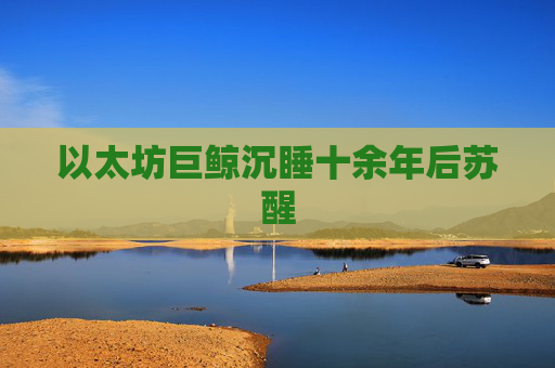 以太坊巨鲸沉睡十余年后苏醒
