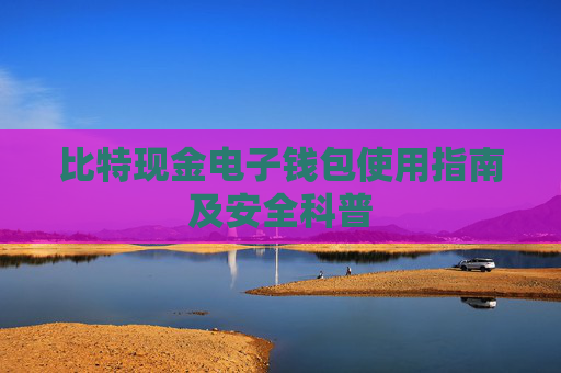 比特现金电子钱包使用指南及安全科普