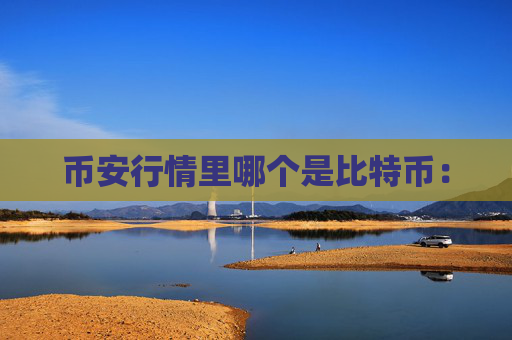 币安行情里哪个是比特币：