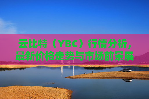云比特（YBC）行情分析，最新价格走势与市场前景展望