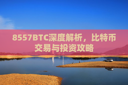 8557BTC深度解析,比特币交易与投资攻略