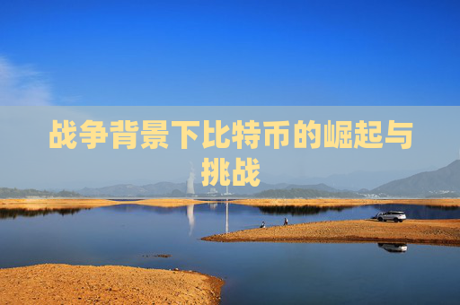 战争背景下比特币的崛起与挑战
