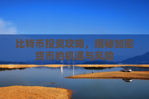 比特币投资攻略，揭秘加密货币的机遇与风险