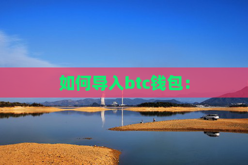 如何导入btc钱包: