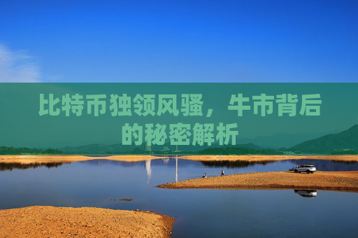 比特币独领风骚，牛市背后的秘密解析
