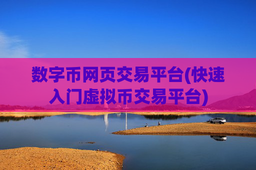 数字币网页交易平台(快速入门虚拟币交易平台)