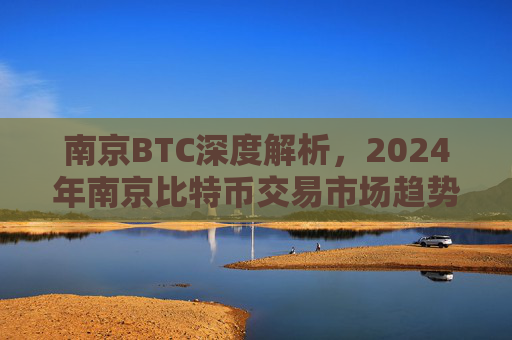 南京BTC深度解析,2024年南京比特币交易市场趋势与挑战