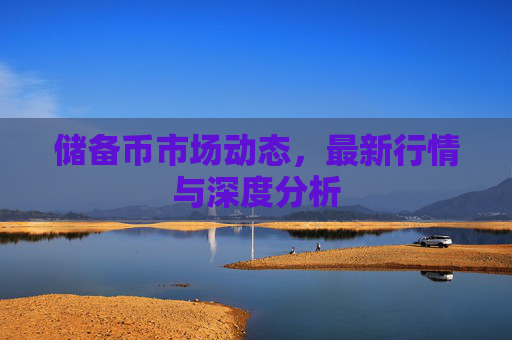 储备币市场动态，最新行情与深度分析