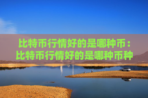 比特币行情好的是哪种币:比特币行情好的是哪种币种啊