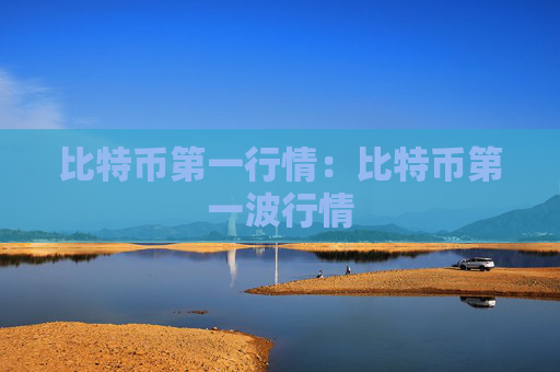 比特币第一行情：比特币第一波行情