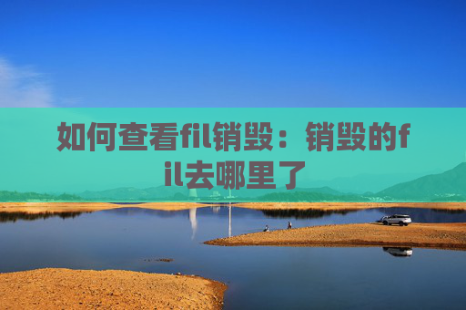 如何查看fil销毁:销毁的fil去哪里了