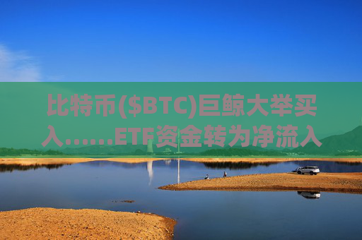 比特币($BTC)巨鲸大举买入……ETF资金转为净流入，散户持续观望