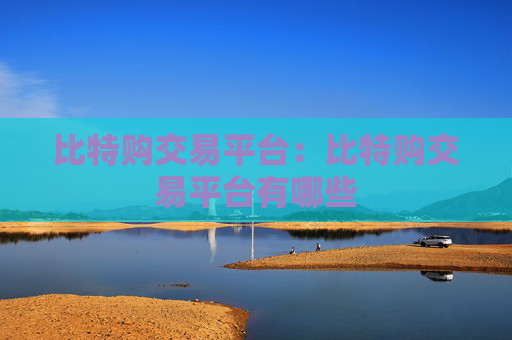 比特购交易平台:比特购交易平台有哪些