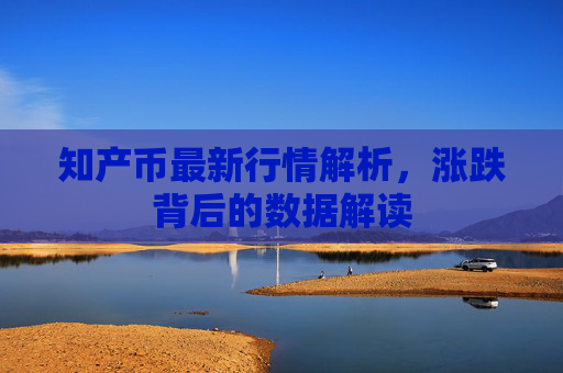 知产币最新行情解析,涨跌背后的数据解读