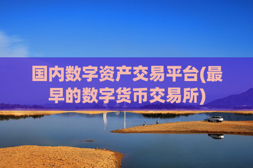 国内数字资产交易平台(最早的数字货币交易所)