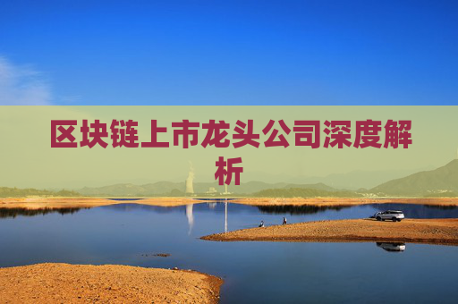 区块链上市龙头公司深度解析