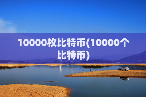10000枚比特币(10000个比特币)