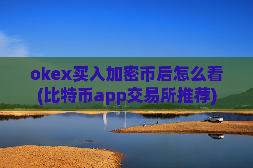 okex买入加密币后怎么看(比特币app交易所推荐)