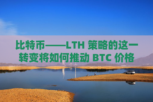 比特币——LTH 策略的这一转变将如何推动 BTC 价格达到 12 万美元