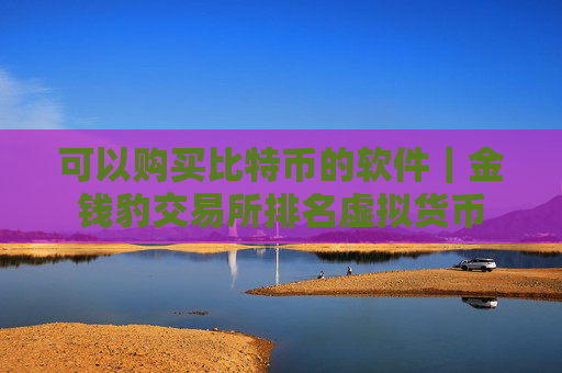 可以购买比特币的软件|金钱豹交易所排名虚拟货币