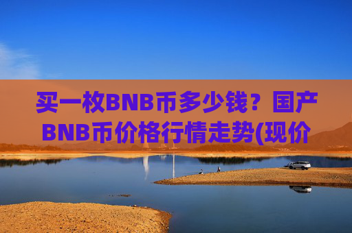 买一枚BNB币多少钱?国产BNB币价格行情走势(现价4795.77元)
