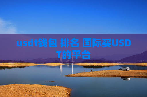 usdt钱包 排名 国际买USDT的平台