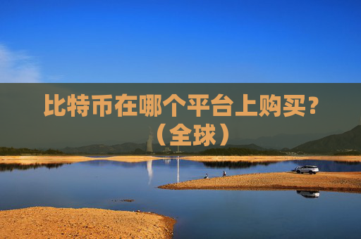 比特币在哪个平台上购买？（全球）