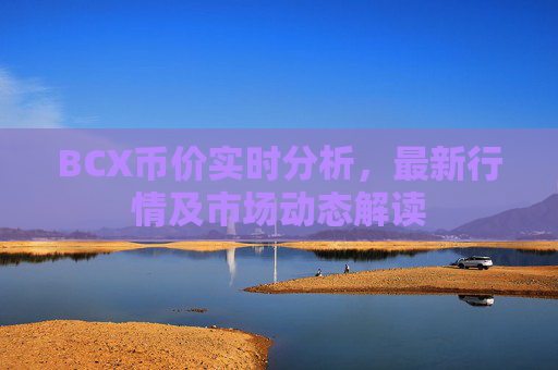 BCX币价实时分析,最新行情及市场动态解读