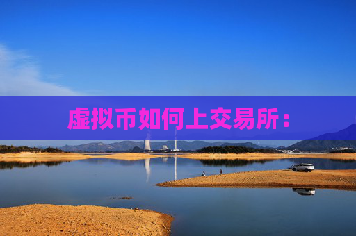虚拟币如何上交易所: