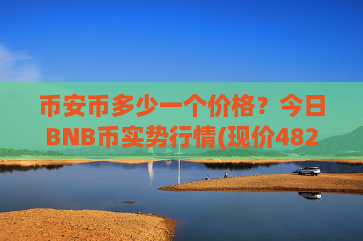 币安币多少一个价格?今日BNB币实势行情(现价4829.26元)