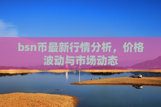 bsn币最新行情分析，价格波动与市场动态