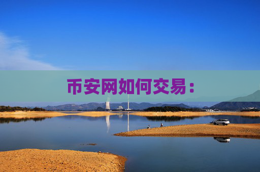 币安网如何交易: