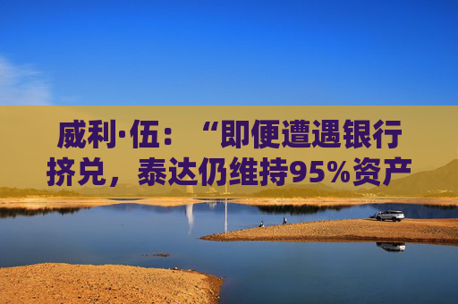 威利·伍:“即便遭遇银行挤兑,泰达仍维持95%资产担保”