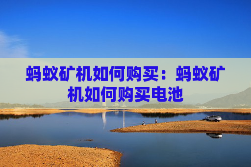 蚂蚁矿机如何购买:蚂蚁矿机如何购买电池