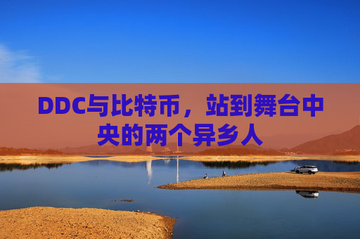 DDC与比特币,站到舞台中央的两个异乡人