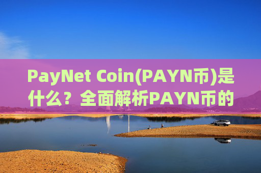 PayNet Coin(PAYN币)是什么?全面解析PAYN币的功能特点及2025年价格前景